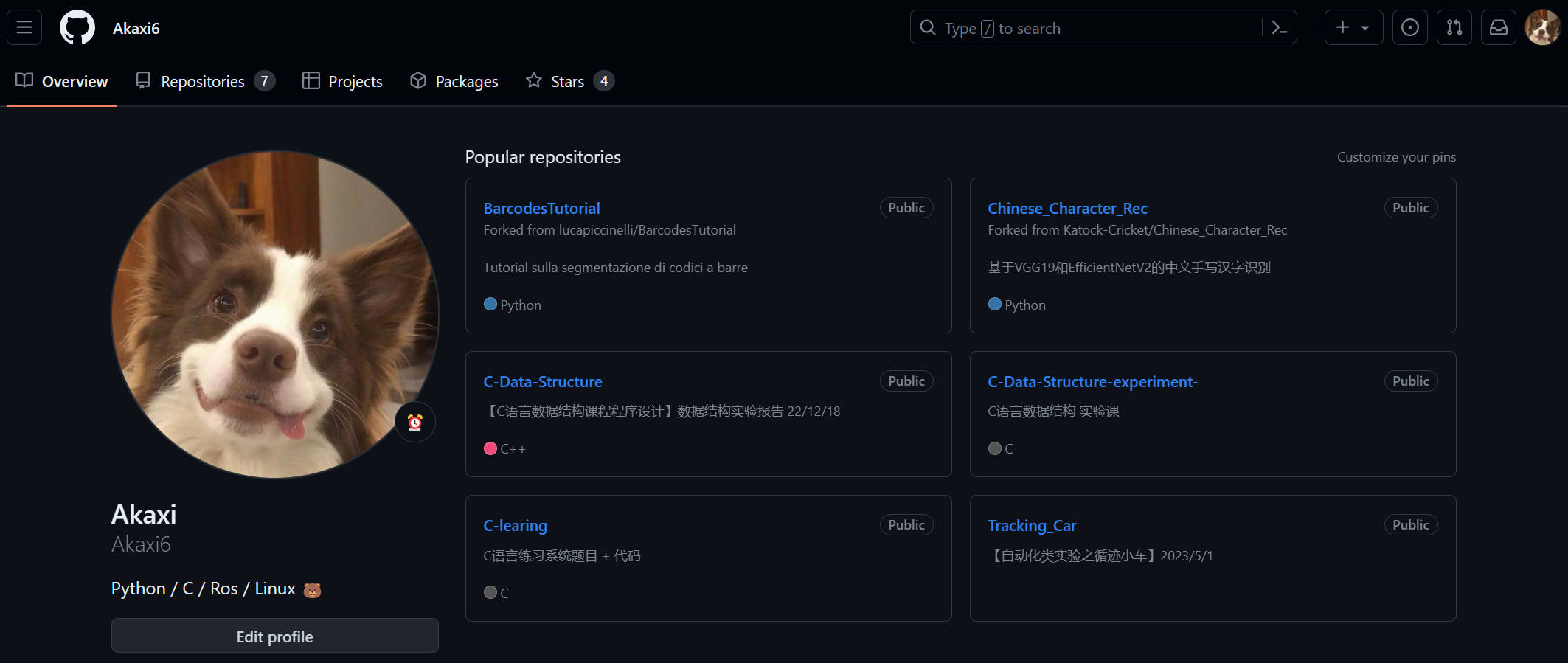 Akaxi's_github